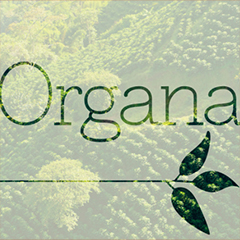 Organa